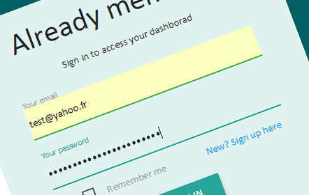 Add Remember me and Forgot password in your sign in form.